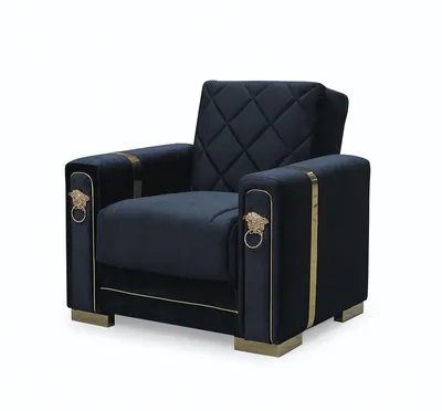 Angel Leon Sofabed Black and Gold with Storage 65-103, view 4