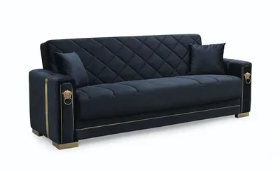 Angel Leon Sofabed Black and Gold with Storage 65-103, view 5