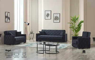 Hegel Chester Sofa Bed with Storage 65-103