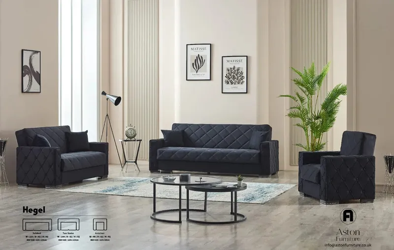 Hegel Chester Sofa Bed with Storage 65-103