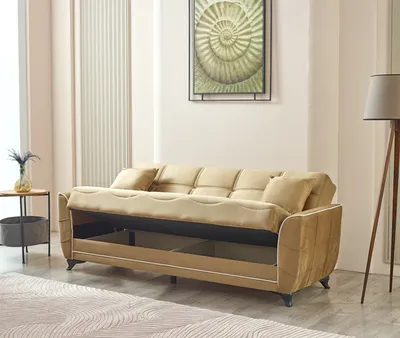 Tual Sofabed Brown with Storage 67-103, view 2